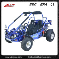 EPA/EEC Road Legal 300cc 2 Seat Automatic Dune Buggy